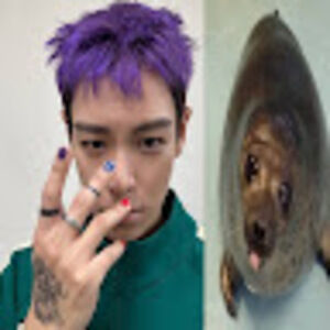 Meet your Posher, South